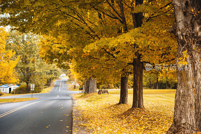新罕布什尔州的秋天之路