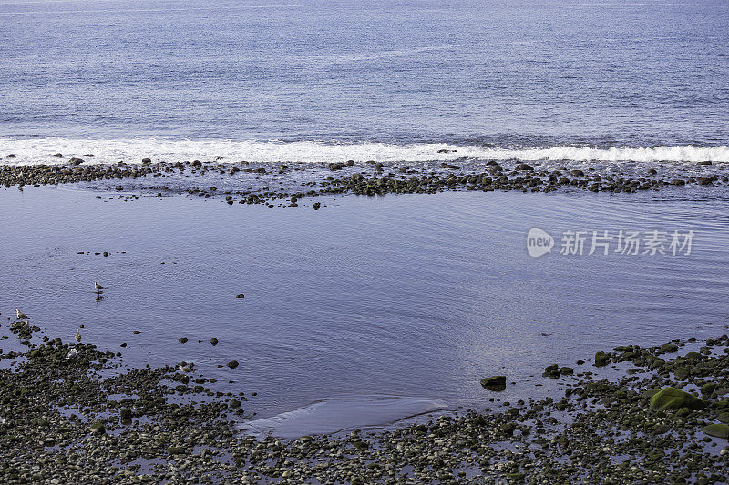 无情的海滩