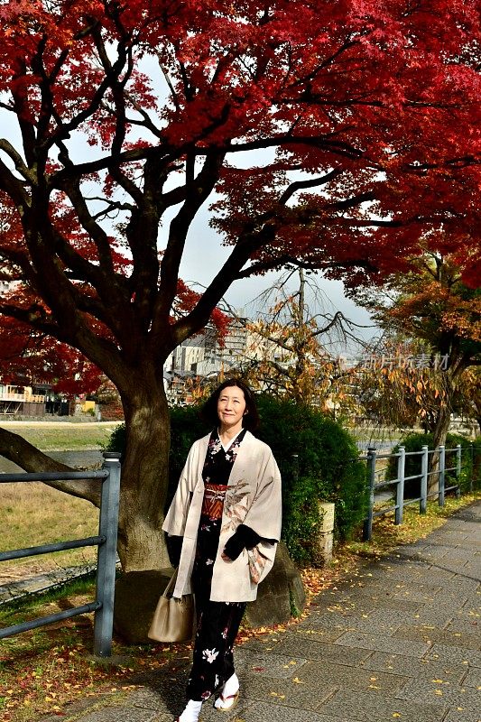 穿着和服的日本妇女走在京都加茂河岸的小路上