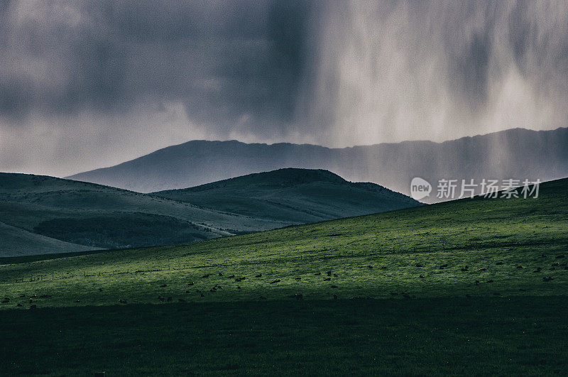 奶牛们在阳光下休息，大雨倾盆。