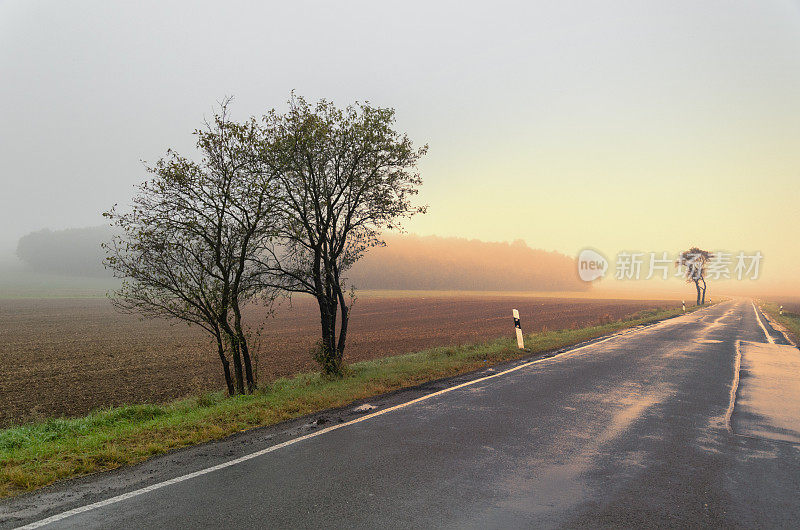 晨光在日出-乡村道路在雾