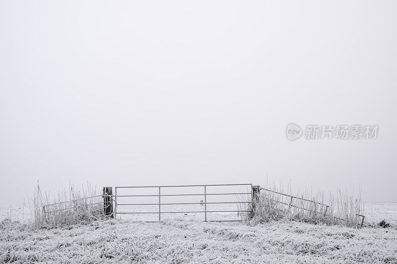 薄雾清晨的冬日美景