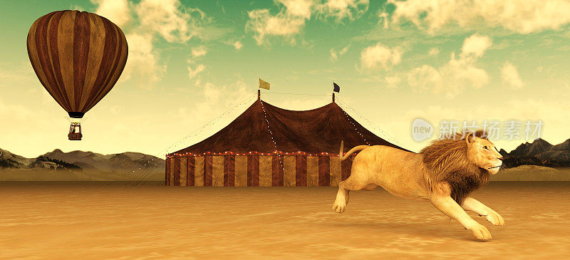 马戏团嘉年华帐篷，气球和狮子