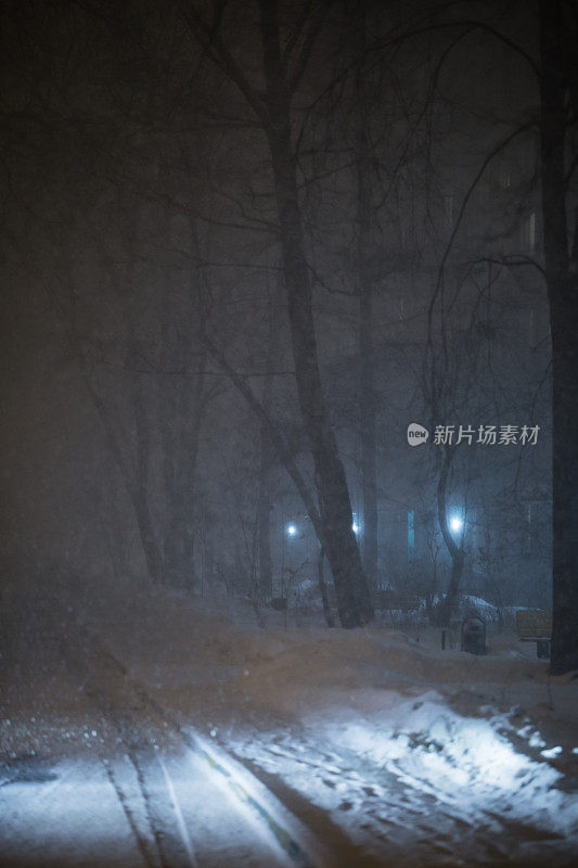 城市里的雪