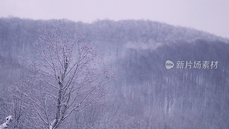 冬季仙境。的雪山风景