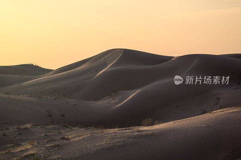 索尔顿海沙漠沙丘