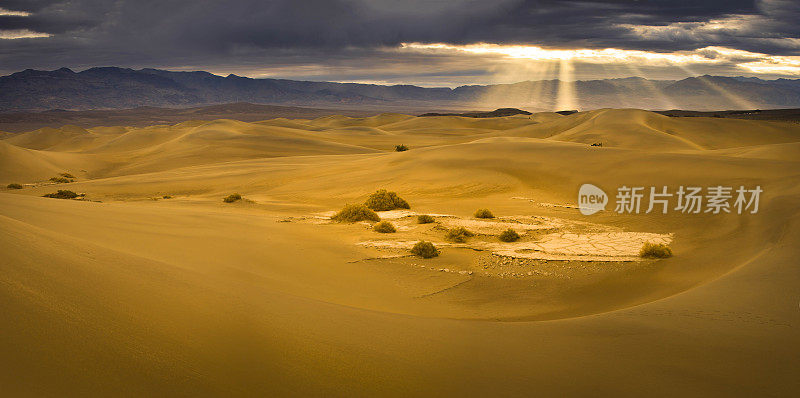 美国死亡谷国家公园牧豆树平原的沙漠。