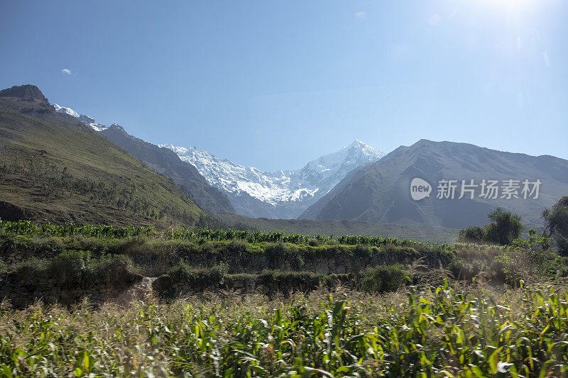 在秘鲁乌鲁班巴谷的前景中有玉米的雪山