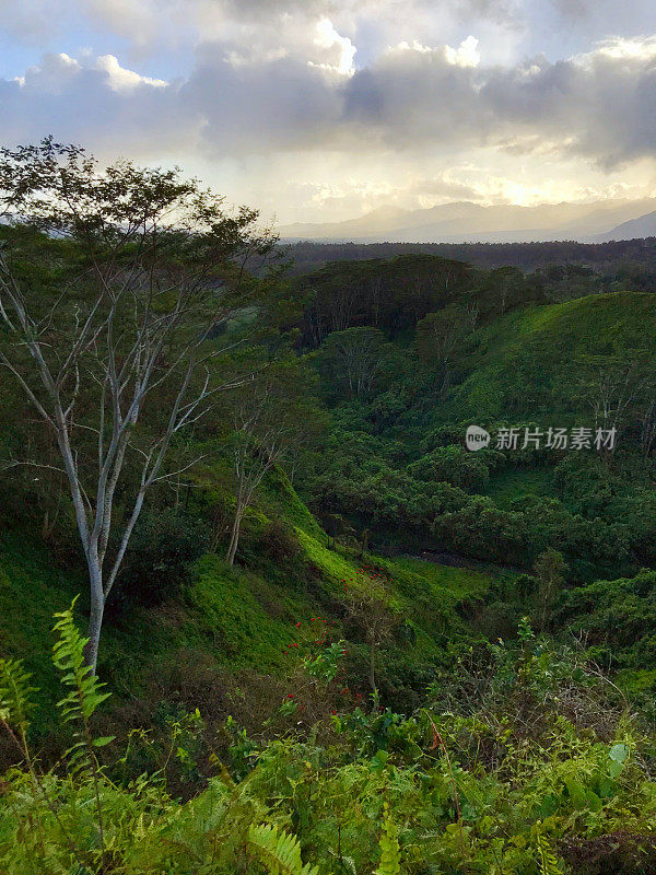 夏威夷考艾岛，郁郁葱葱的Makaleha山