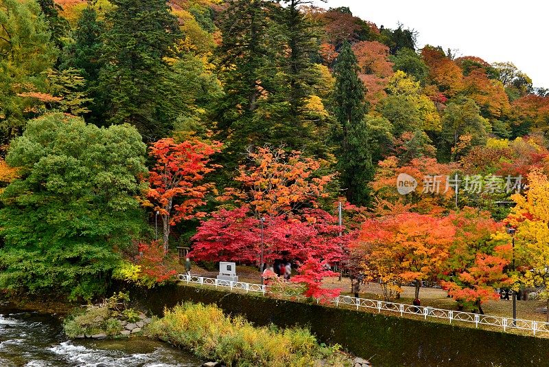 青森县黑石的中野百山公园秋叶