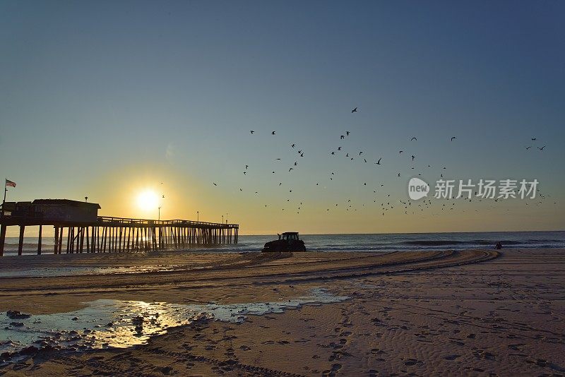 多里安飓风后海滩修复