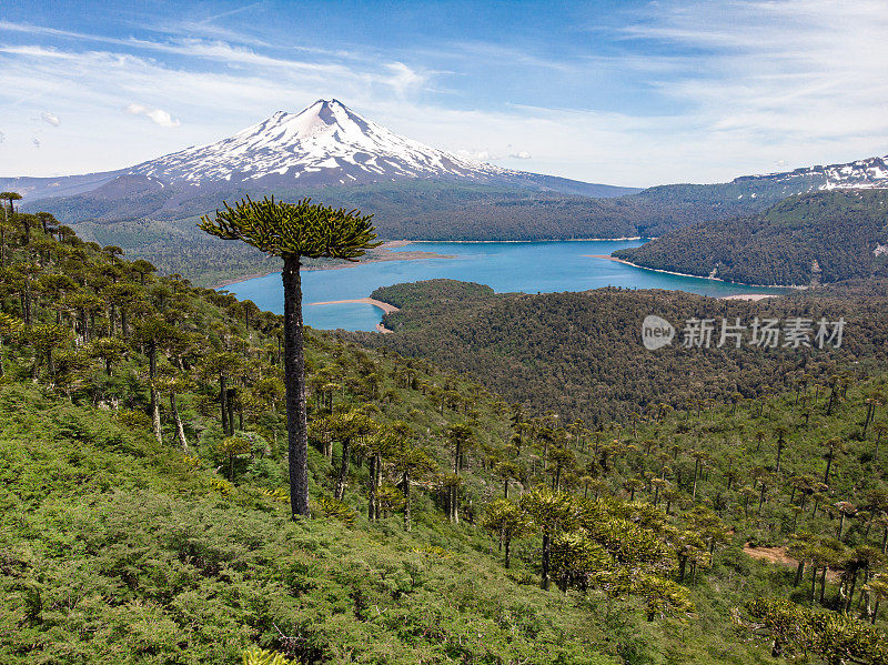 孔吉里奥国家公园里的亚伊马火山和孔吉里奥湖鸟瞰图