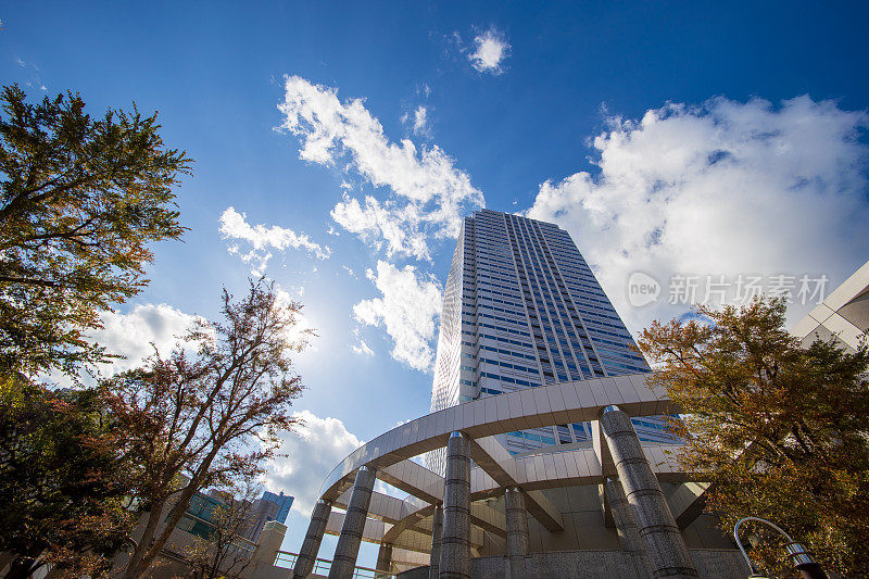 从街上仰望那座高耸的建筑物