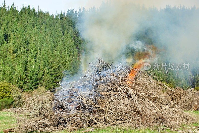 乡村场景中火被控制燃烧