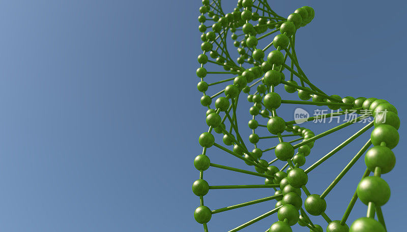 dna分子生物化学的概念