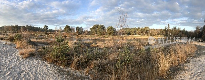 湿地全景