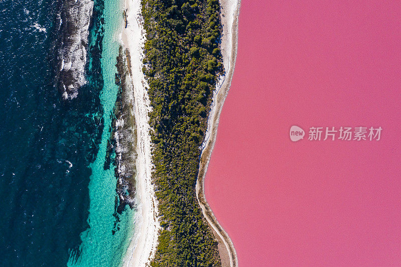 明亮的粉红色湖泊，白色的沙滩和蓝色的海洋。多色自然场景