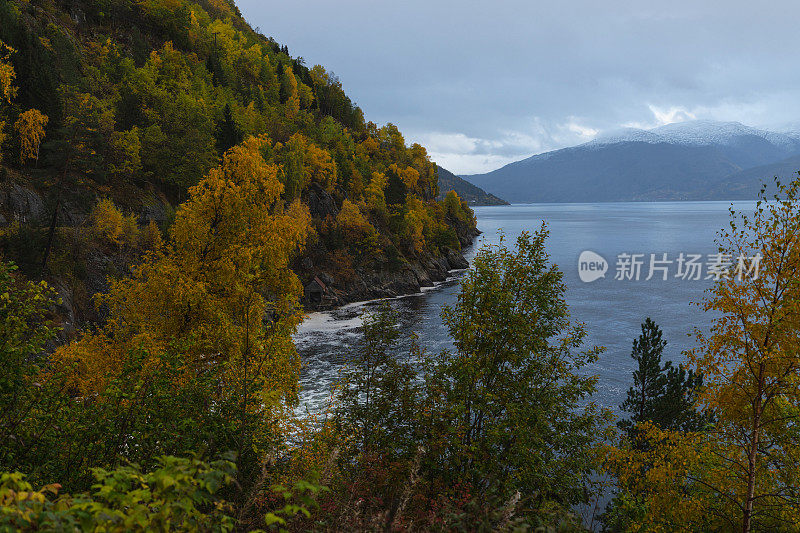 挪威峡湾的冬日气氛:树叶和阴天