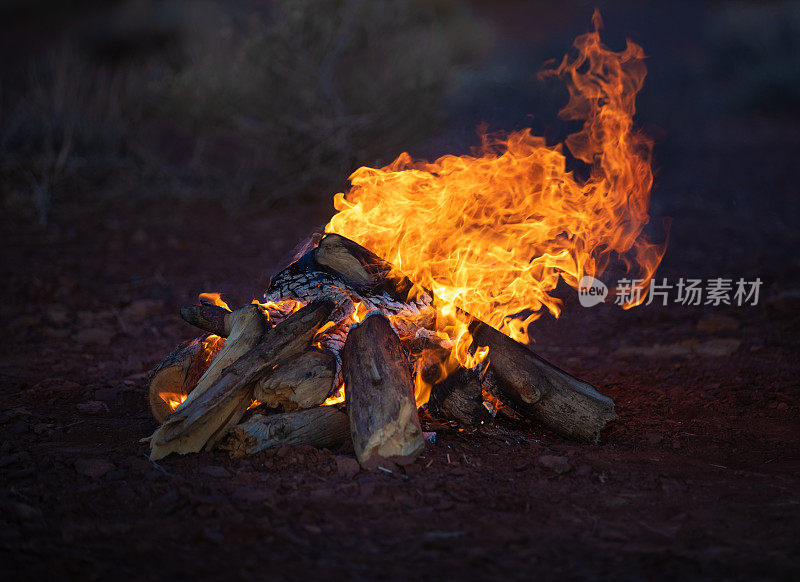 篝火燃烧的细节