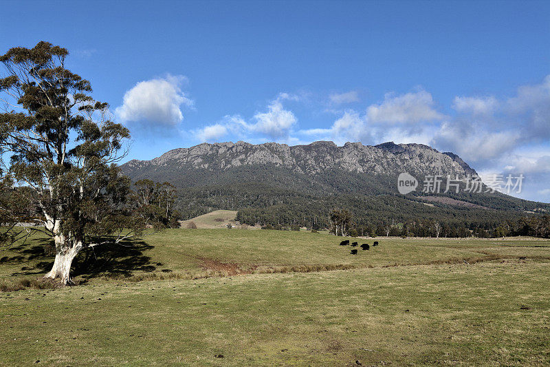 塔斯马尼亚山景观风景罗兰山牧场