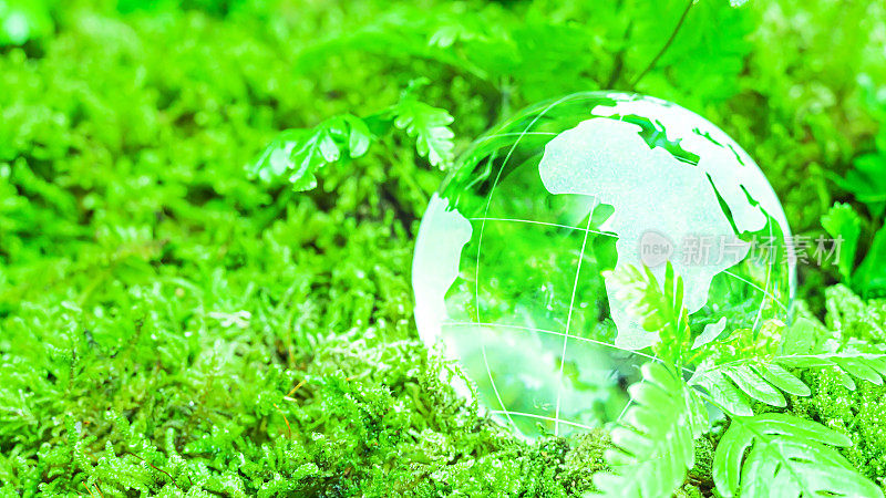 环境的概念。绿色苔藓上的玻璃球。