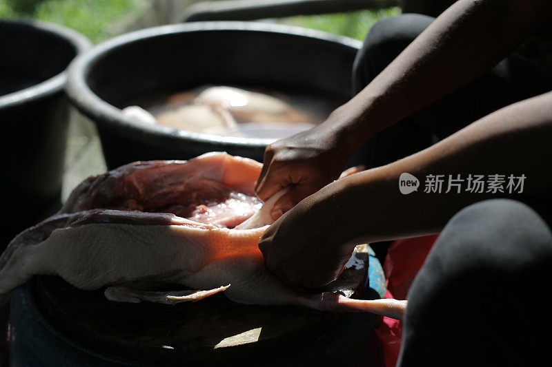 鸭子撒莱(烟鸭)