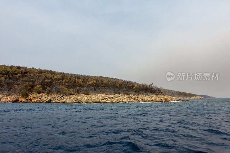 海岸森林大火之后