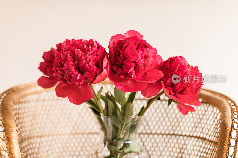 大朵深红色的牡丹花盛开在一个玻璃花瓶上的复古藤椅与一个中性色的背景
