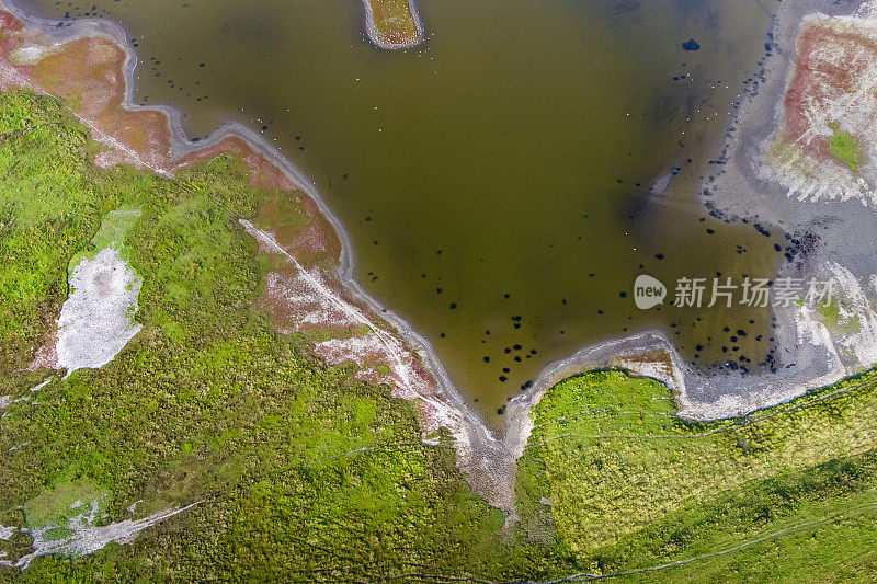 盐沼和海岸线-鸟瞰图