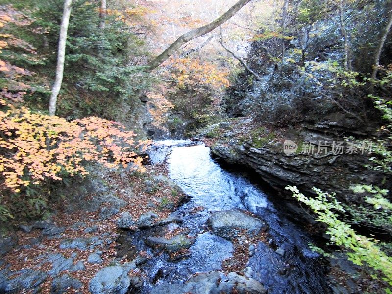 日本。11月的晴朗天气。时间正好在日落之前。日本山区的瀑布。从顶部看。