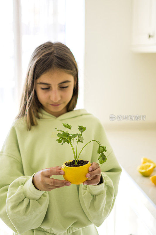 美丽的女孩又在土壤里发芽了