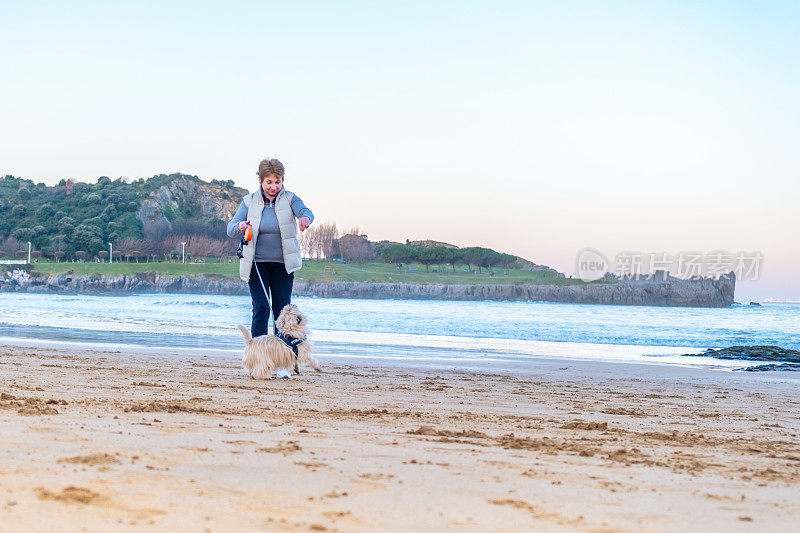 老妇人带着她的狗在海边散步
