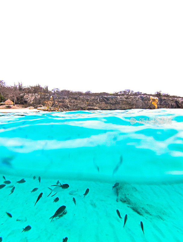 在水的一半，蓝绿色的加勒比海景与海洋咸水鱼和风景景观悬崖