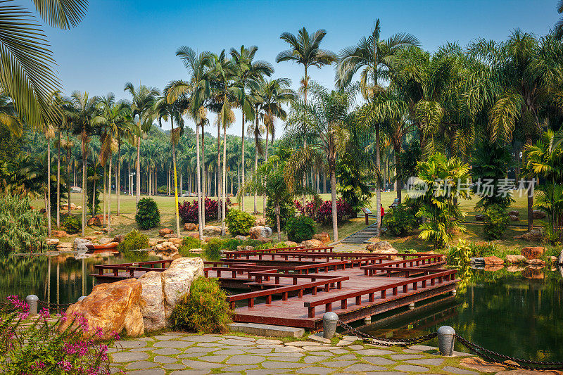 景区，桥上有池塘，棕榈树，传统的亚洲景观设计
