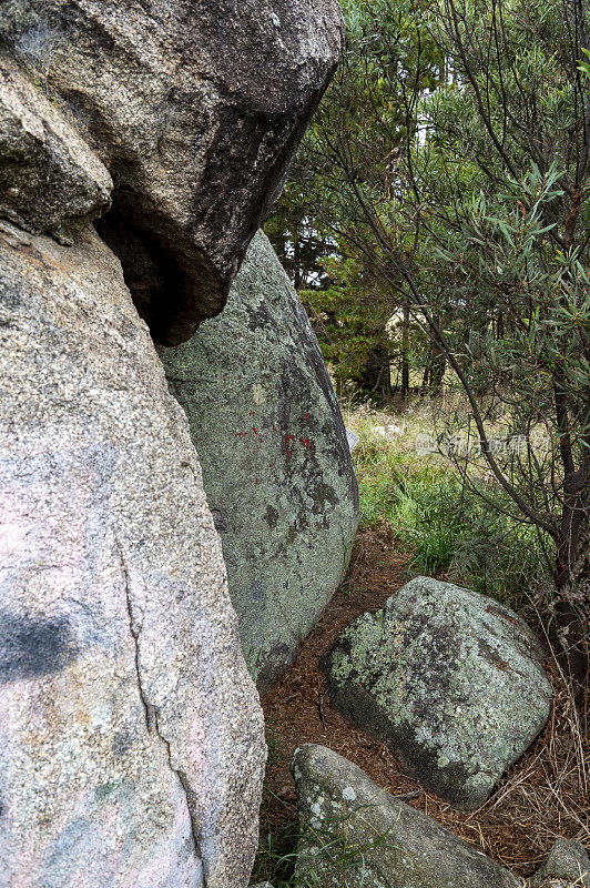 花岗岩巨石。新英格兰典型的景观特征。新南威尔士州。