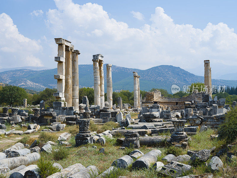 春草古城，aydın。火鸡