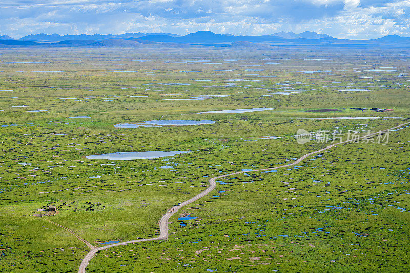 广阔的草原、湿地和遥远的山峦背景