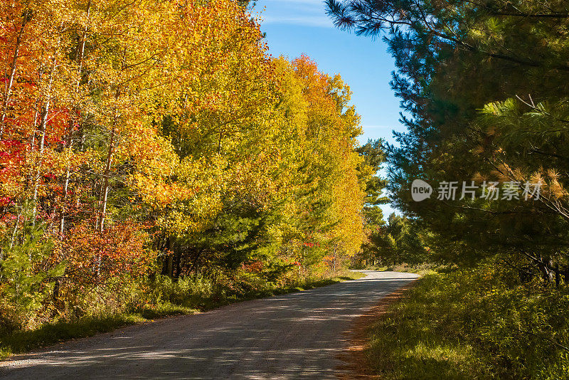 秋景-沙砾土路，彩树蓝天