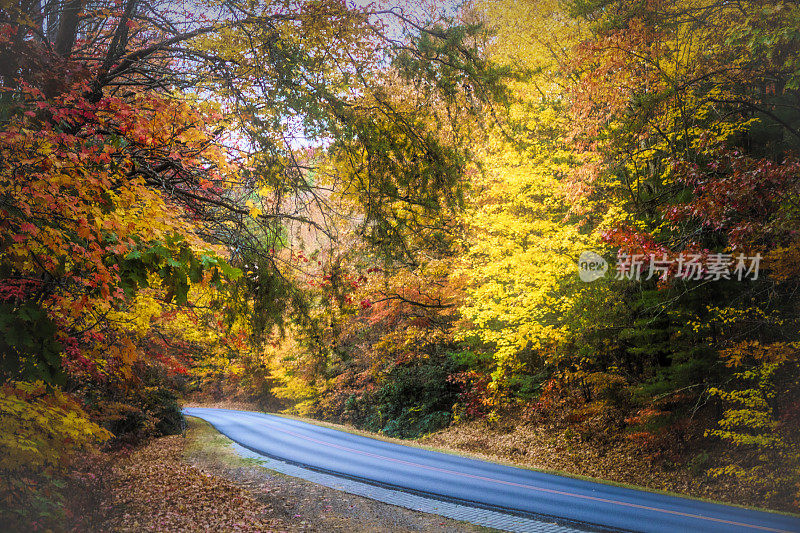 蓝岭公园道的秋天色彩