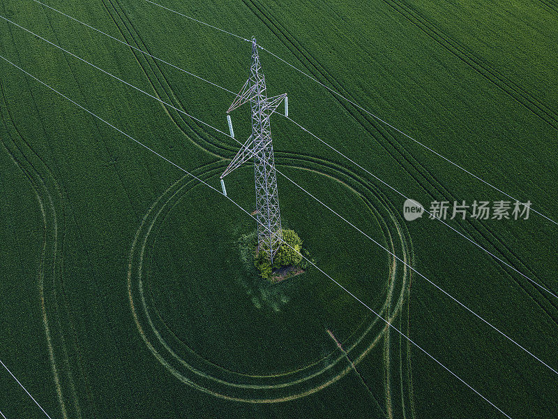 绿色麦田中的电杆鸟瞰图。可再生能源。