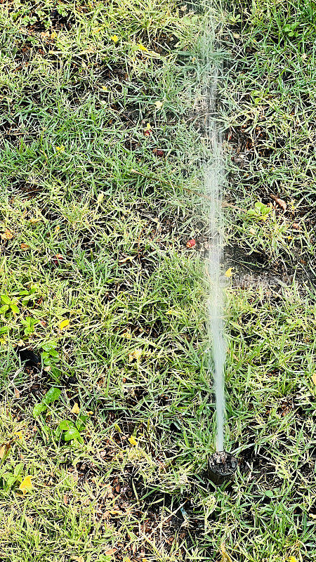 洒水喷头浇灌郁郁葱葱的绿色草坪
