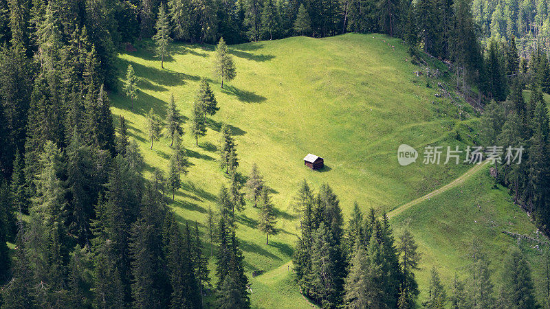 阿尔卑斯山绿色山间草地上的小木屋