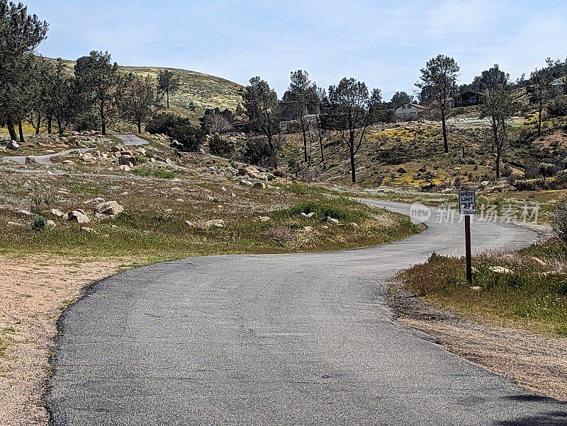 2023年4月，在加州南部伊莎贝拉湖边的山坡上，一条乡间小路穿过春花