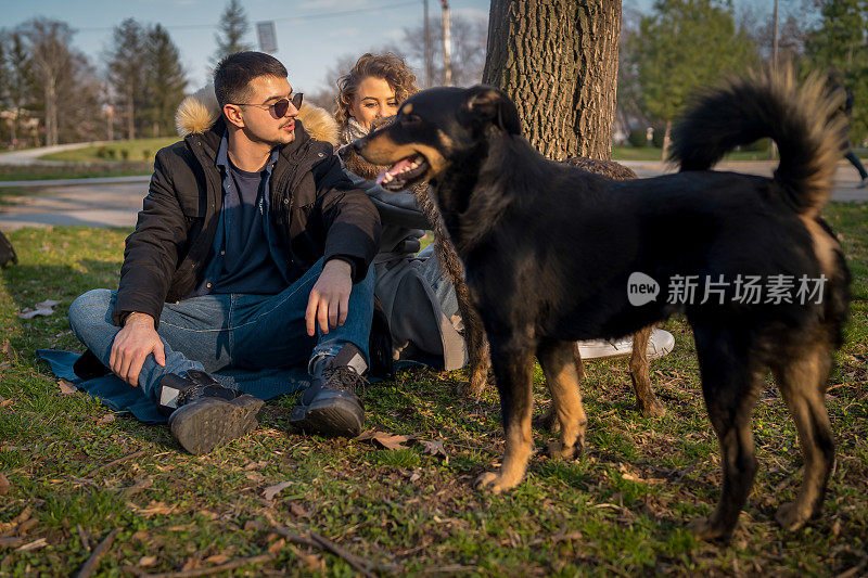 可爱快乐微笑的高加索夫妇坐在草地上自拍