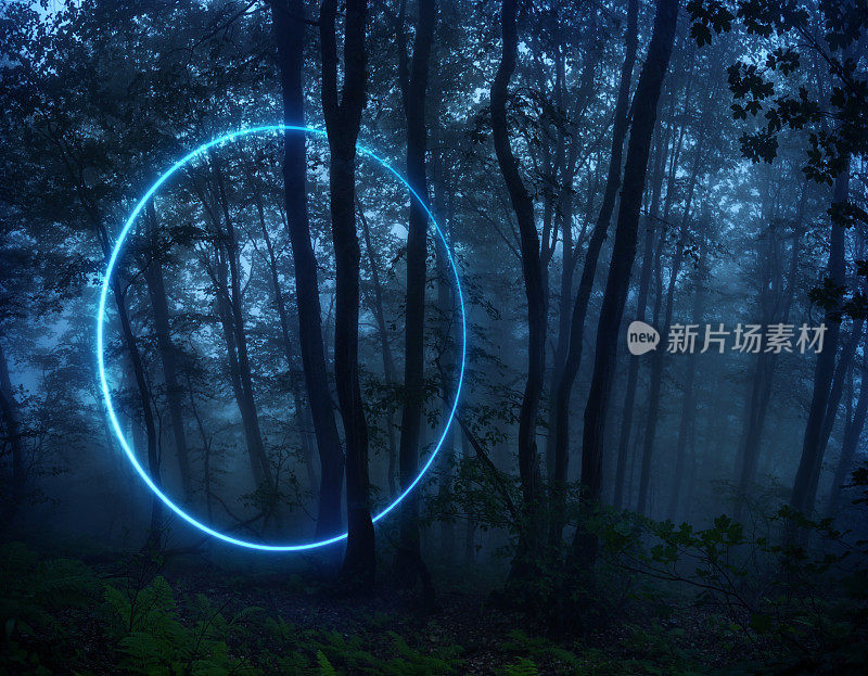 雾蒙蒙的树林里抽象的发光圆圈。虚拟现实传送门，超宇宙概念。