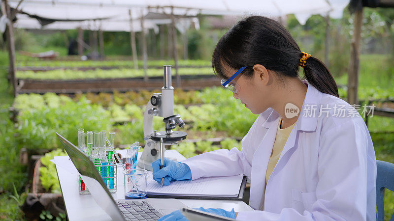 一位女性植物学家在有机蔬菜农场用笔记本电脑工作。