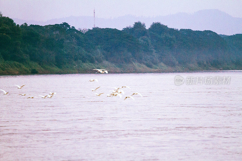 日落时湄公河与鹤鸟的全景