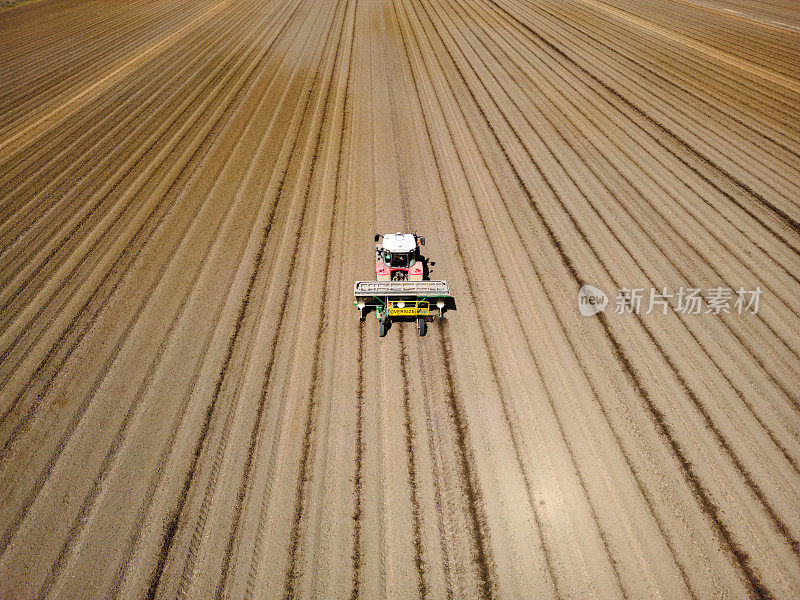 拖拉机犁甘蔗田，新南威尔士州，澳大利亚