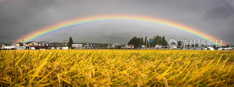 乡村全景上充满活力的彩虹