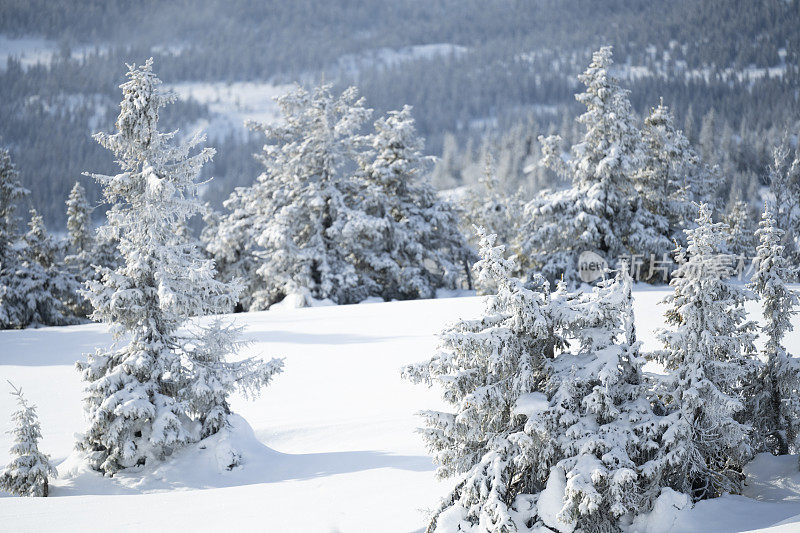 从滑雪坡在Kvitfjell高山滑雪胜地在挪威